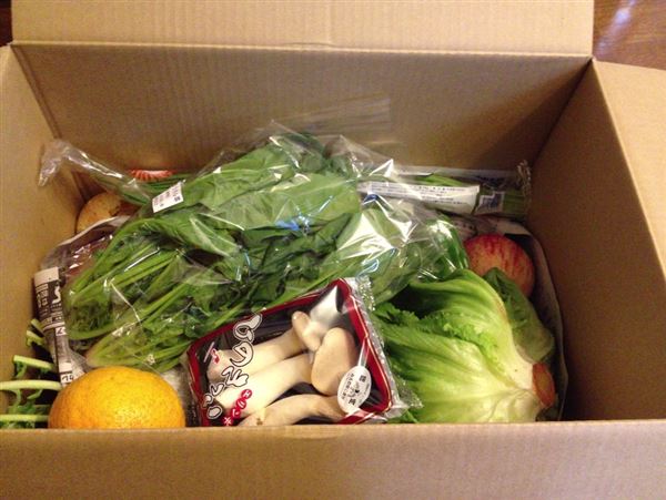 らでぃしゅぼーや